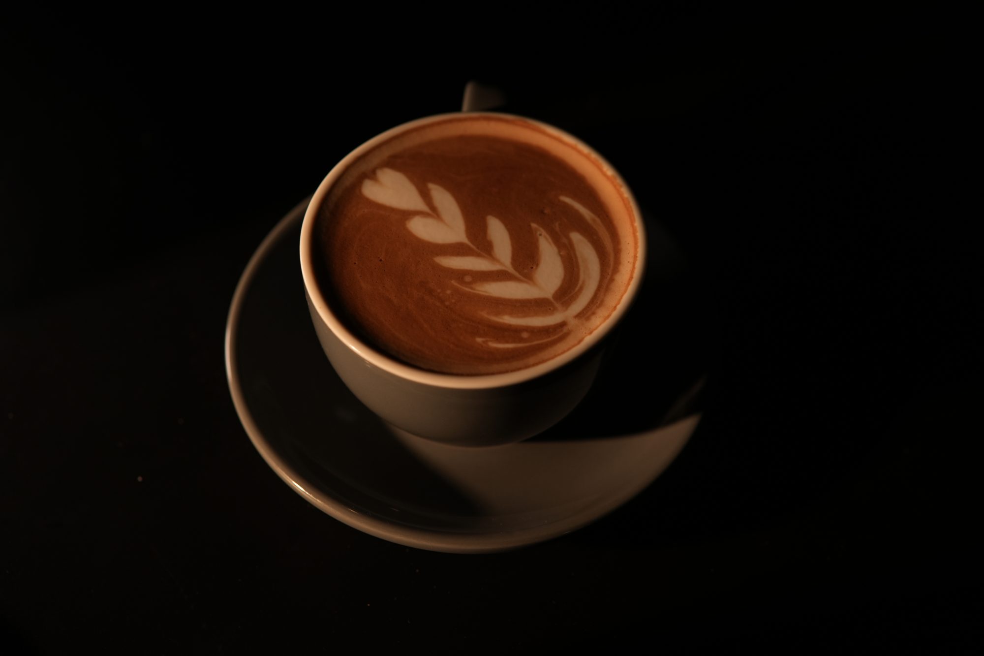 Latte art rosetta on a hot latte, lit against black